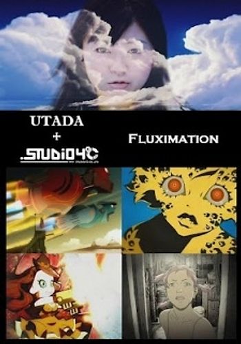 Fluximation