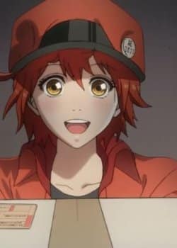 Hataraku Saibou (ONA)