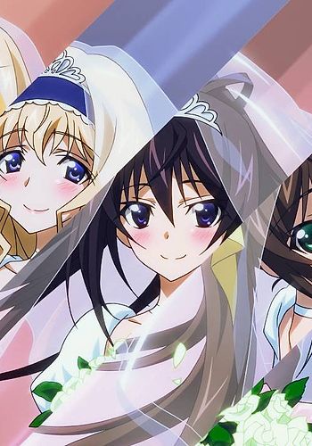 IS: Infinite Stratos 2 - Infinite Wedding