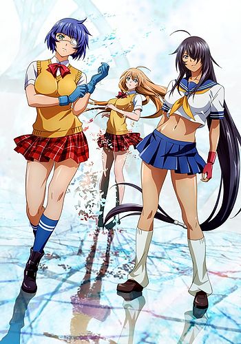 Ikki Tousen: Western Wolves