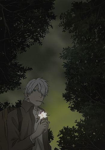 Mushishi Tokubetsu Hen: Hihamukage