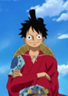 One Piece: Mugiwara no Ichimi kara no Kansen Yobou Message