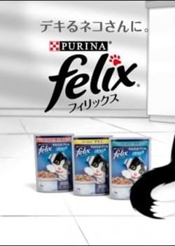 Purina Felix