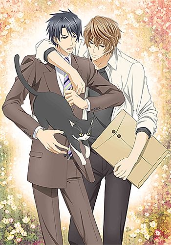 Sekaiichi Hatsukoi Movie: Yokozawa Takafumi no Baai