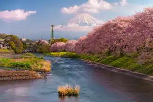 mt fuji japan spring landscape 2025 03 24 00 25 23 utc