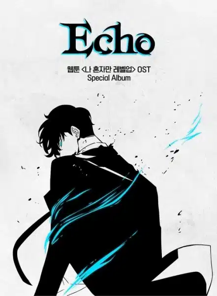 Echo