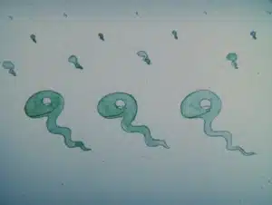 Han Seisaku Sakuhin