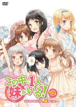 Kono Naka ni Hitori, Imouto ga Iru!: Ani, Imouto, Koibito Kono Naka ni Hitori
