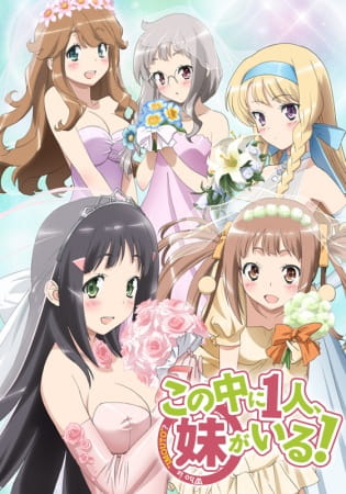 Kono Naka ni Hitori