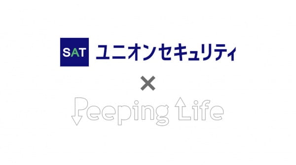 Satto Anshin