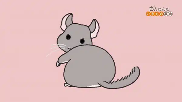 Zannen na Ikimono Jiten (2021)