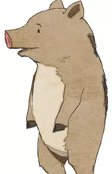Kousuke
