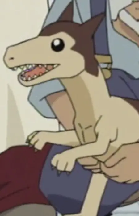 Puchizaura