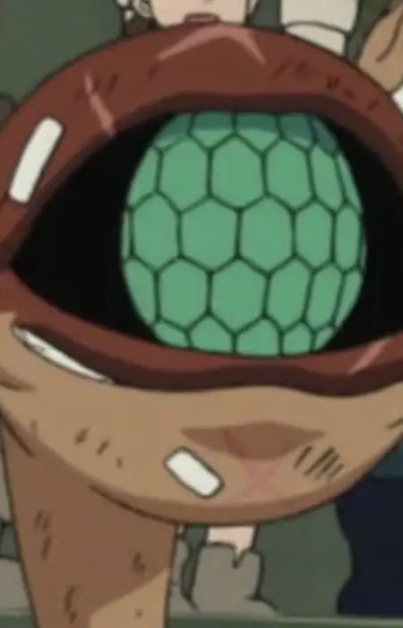 Fly Eye