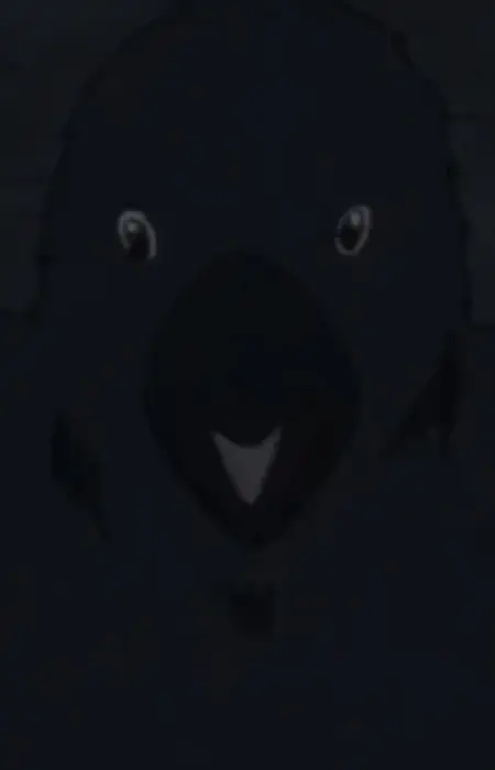 Kuro