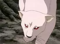 Enefeaa