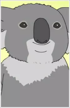 Koala