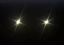 Sensei-Sensei